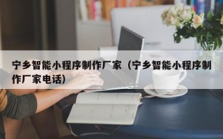 辽源宁乡智能小程序制作厂家（宁乡智能小程序制作厂家电话）