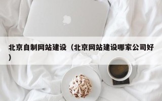 辽源北京自制网站建设（北京网站建设哪家公司好）
